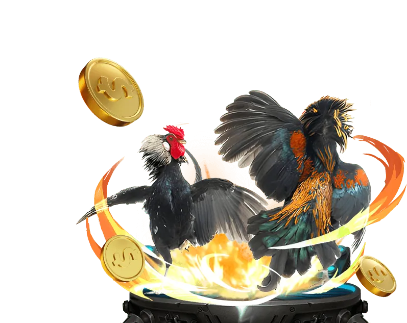 Hướng dẫn quy trình rút tiền